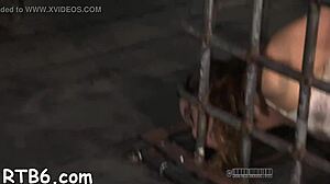 Videos of BDSM activities include spanking, flogging and bondage