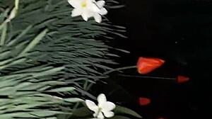 invited neighbor for flowers then fucked her mouth with cum in abandoned house?