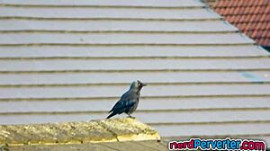 Beautiful Angel Gets Cock Up Her Mouth