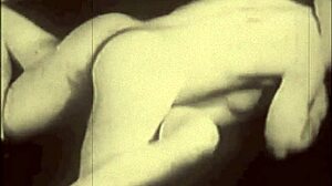 i saw two centuries of vintage porn, it's amazin'