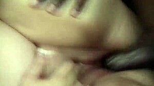 White bbw worships huge black cock