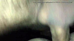 gay stays in hotel room