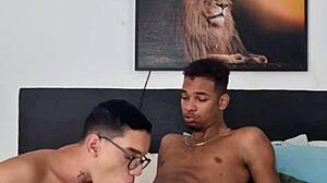 White twink gets black cock in ass after study call