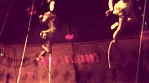 Explore vintage cartoons and antique hairy nostalgia