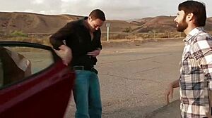 Wankz, ever seen an American whore story like Alison and Jacky's?