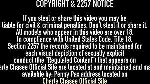 Charlee Chase In Pantyhoses Puts A Fast Toy On Her Pussy Lips