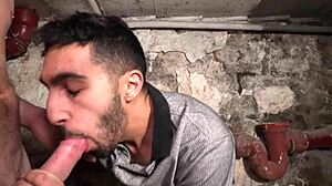 What a wild gay orgy with hardcore action and cumshots!