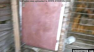 Horrorporn beast from woods in rough bondage threesome blowjob