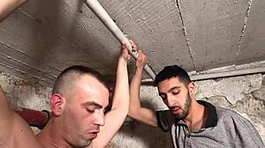 What a wild gay orgy with hardcore action and cumshots!