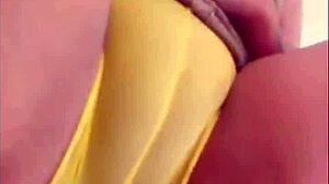 twerking with black ebony group in stockings, fat ass, and big boobs masturbation.