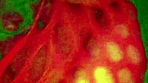 angelg and kuzz in halloween special part 2