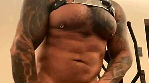 viktor rom humiliates with bbc play