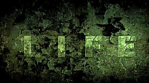 Discover vintage erotic animations from the past