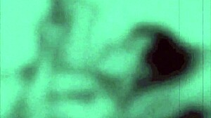 Discover vintage erotic animations from the past