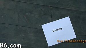 i bent her over for tight pussy fucking