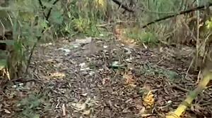 Hetero Guy Fucks Novinho In School Backyard