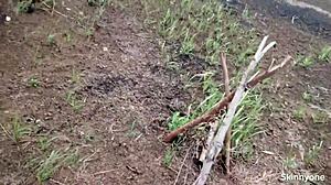 I enjoy rough sex with my uncle outdoors