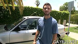 Free Homosexual Sex Photos