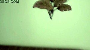 Hell Yeah! PAWG Gracie Takes Black Cock in Homemade Action!