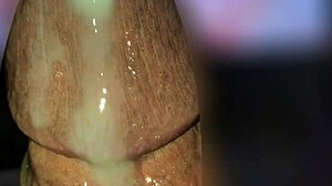 Cumshot Compilation with Loads of Cum in Slow Motion!