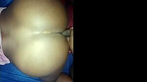 Ever Seen a Hardcore Blowjob with Carioca Creampie Action?