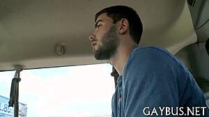 Poze sex homosexual gratuite