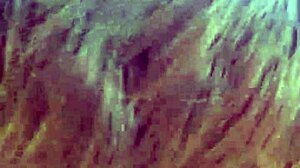 Petite Latina intensely sucks a huge cock and swallows every drop of cum by the riverfront