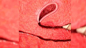 Tamaki's Wet Midnight Blowjob And Fucking