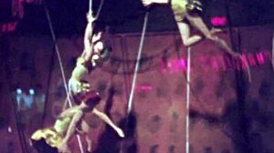 Vintage erotic animation featuring retro cartoon sex scenes