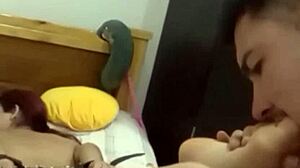 sweet submissive tied up and whipped to intense orgasms