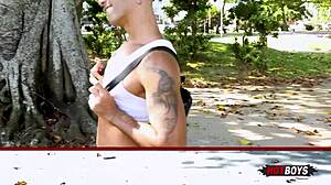 Dei Para Os Novinhos Cariocas