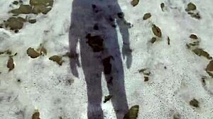 Missspisss update 10 at mallorca beach on nov 11 2024