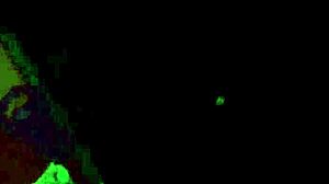 Wow, Dre Delevingne's Spring Break Monster Cock Fuck!