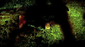 vintage erotic drawing