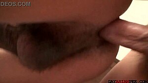 why does asian twink bareback pissing stud so hard?