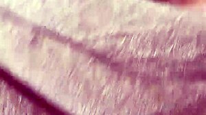 alineflavio update video