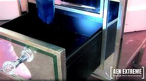 Michelle Thorne and Romana Ryder explore sex toys together in lesbian playtime.