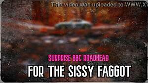 Surprise big black cock roadhead for sissy faggot?