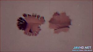 i fuck a japanese chick in stockings, focusing on her legs, pantyhose, and intense pussy fucking in amateur scene.