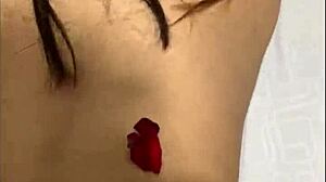 Monster cock hentai sex in missionary riding