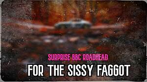 Surprise big black cock roadhead for sissy faggot?