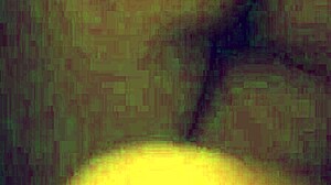 Riding Cocks, Feeling the Intense Pleasure