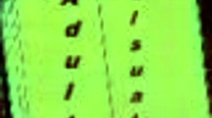 welcome to harem hotel 371, where the fun begins