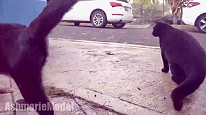 Hairy Micro Bikini Try-On Flashing Pussy in Public Spot