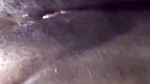 Come Lick My Wet Pussy Lips Now