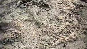 Stranger gives blowjob on public beach