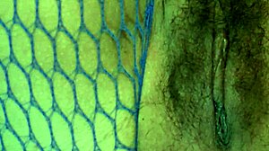 Hey заварен син, защо се промъкваш в спалнята ми за зрялата ми космата путка?