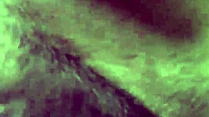 Come Lick My Wet Pussy Lips Now