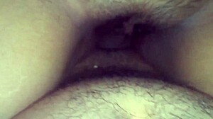 who’s banging anega from trás barras tonight?