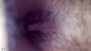 who’s banging anega from trás barras tonight?